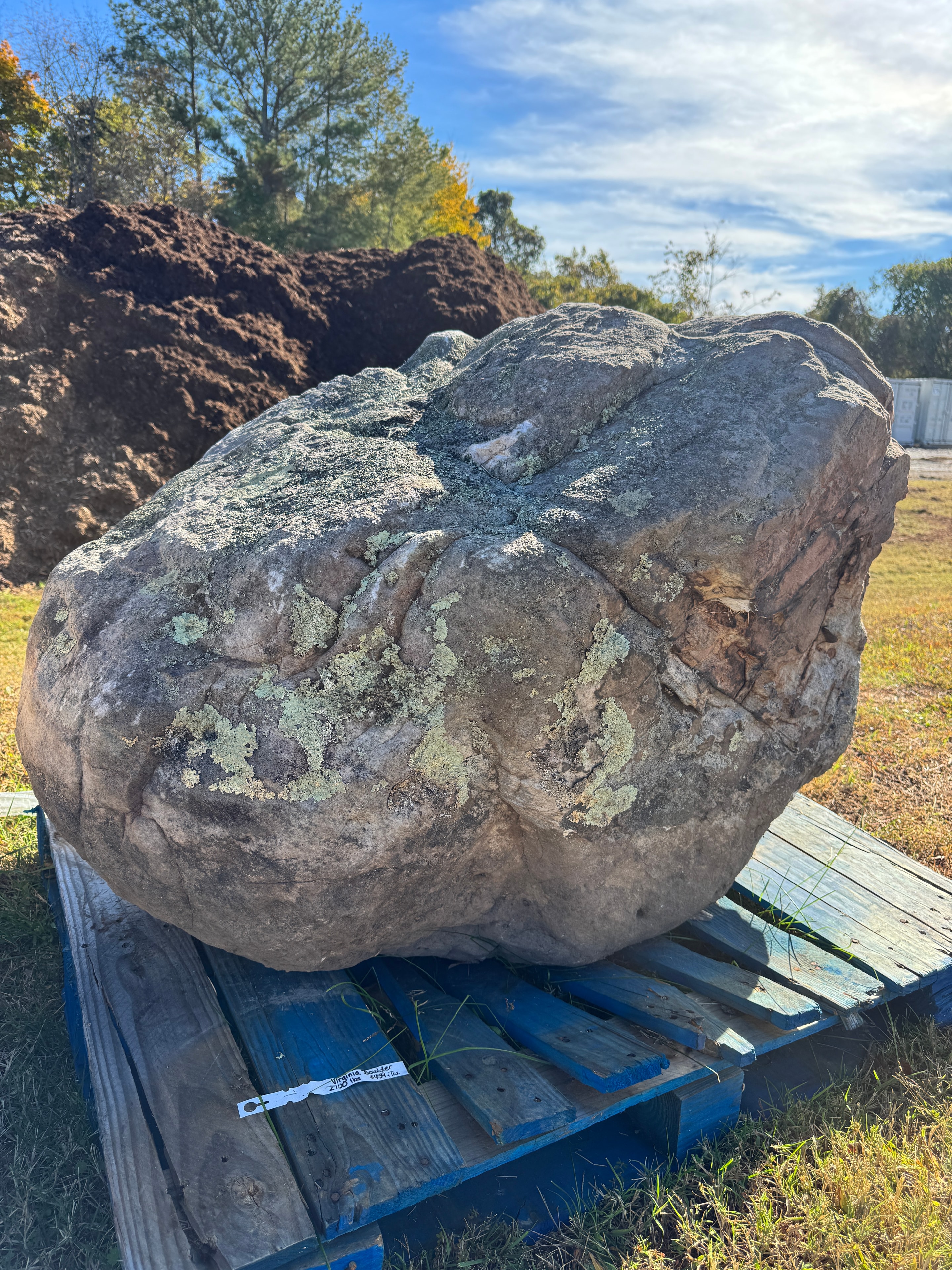 Large lichen-spotted boulder resting on a blue pallet