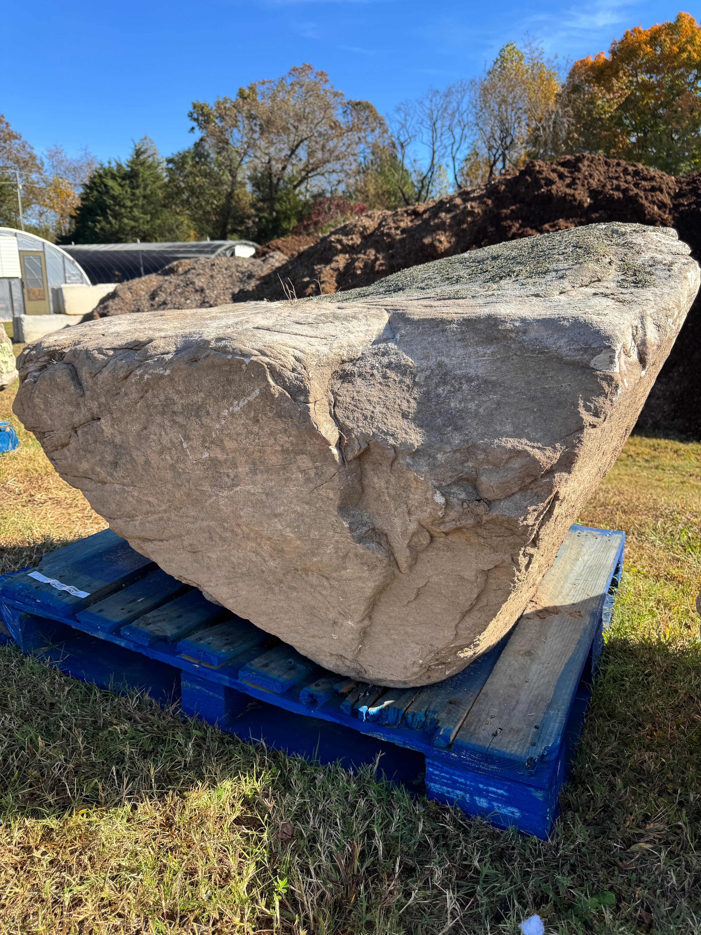 Large landscape boulder on a blue pallet beside the mulch pile