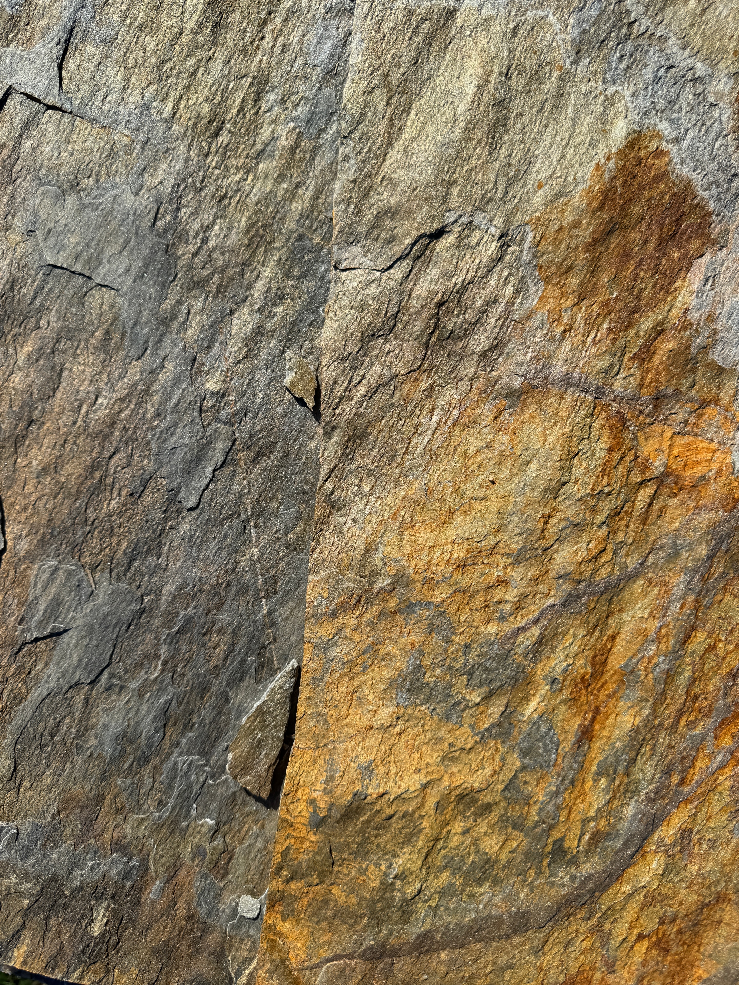 Close-up of the banded surface of a Mountain Mist slab