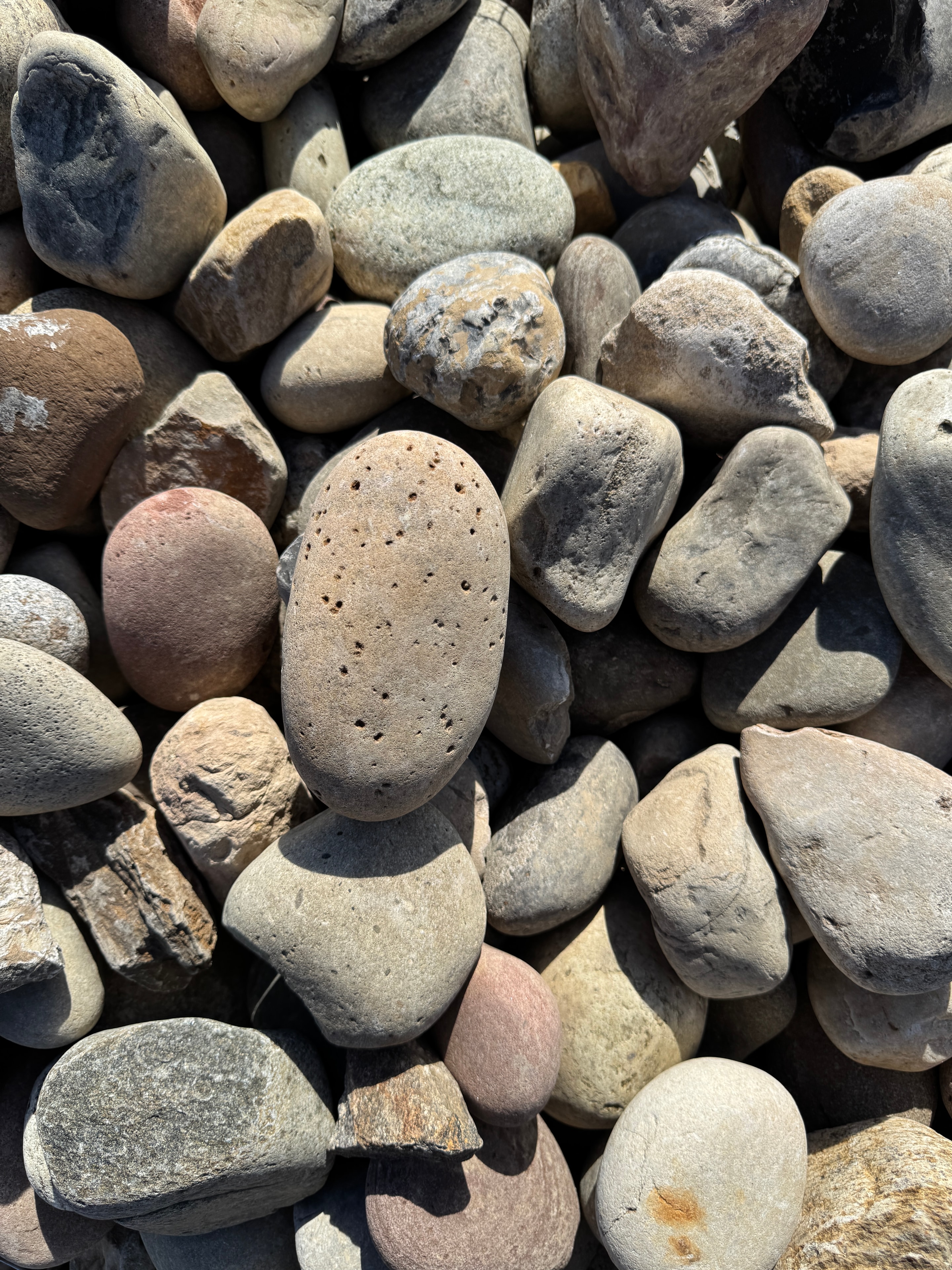Close-up of smooth Pennsylvania River Jack pebbles