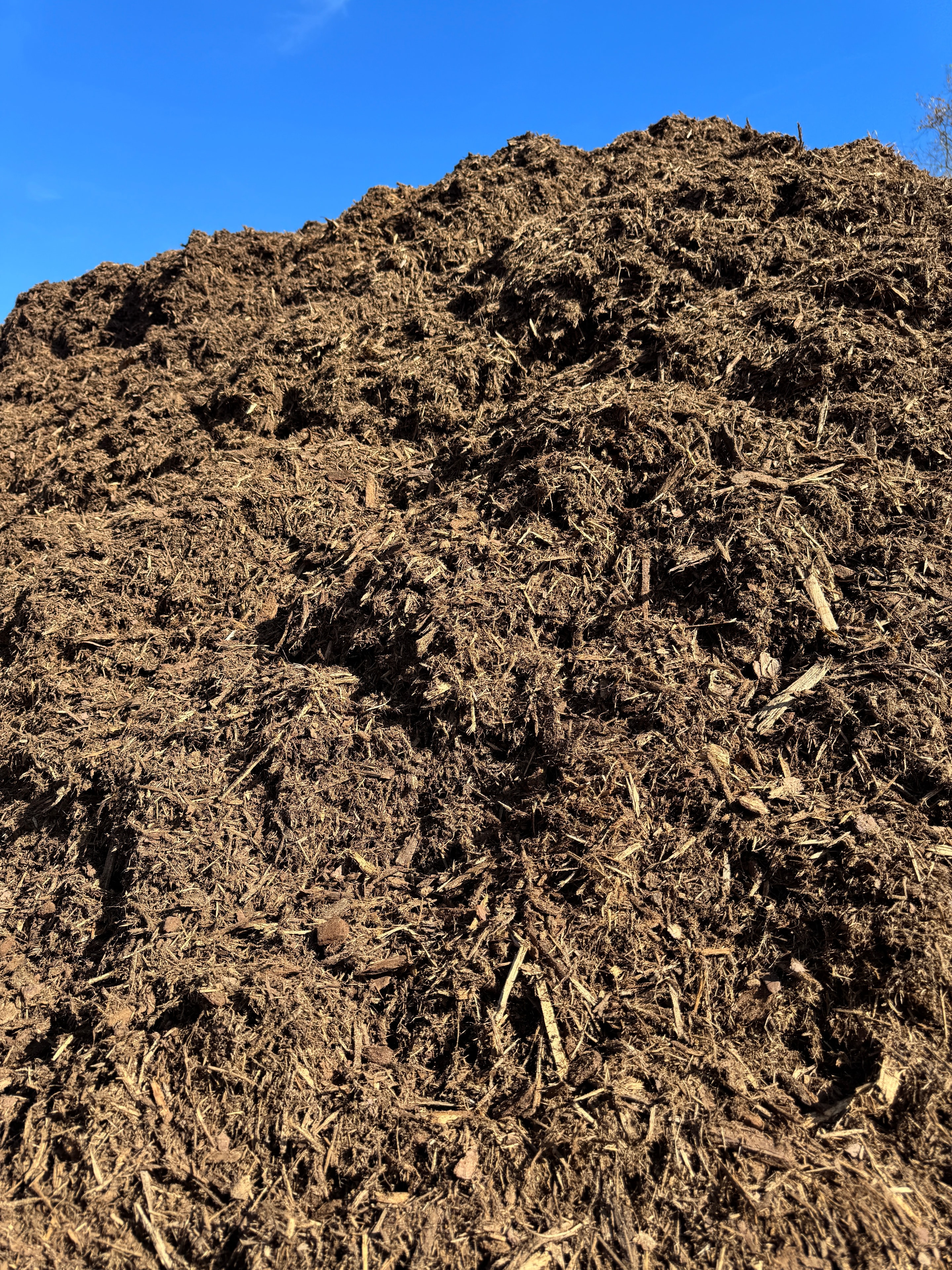 Pile of red oak mulch at the garden center