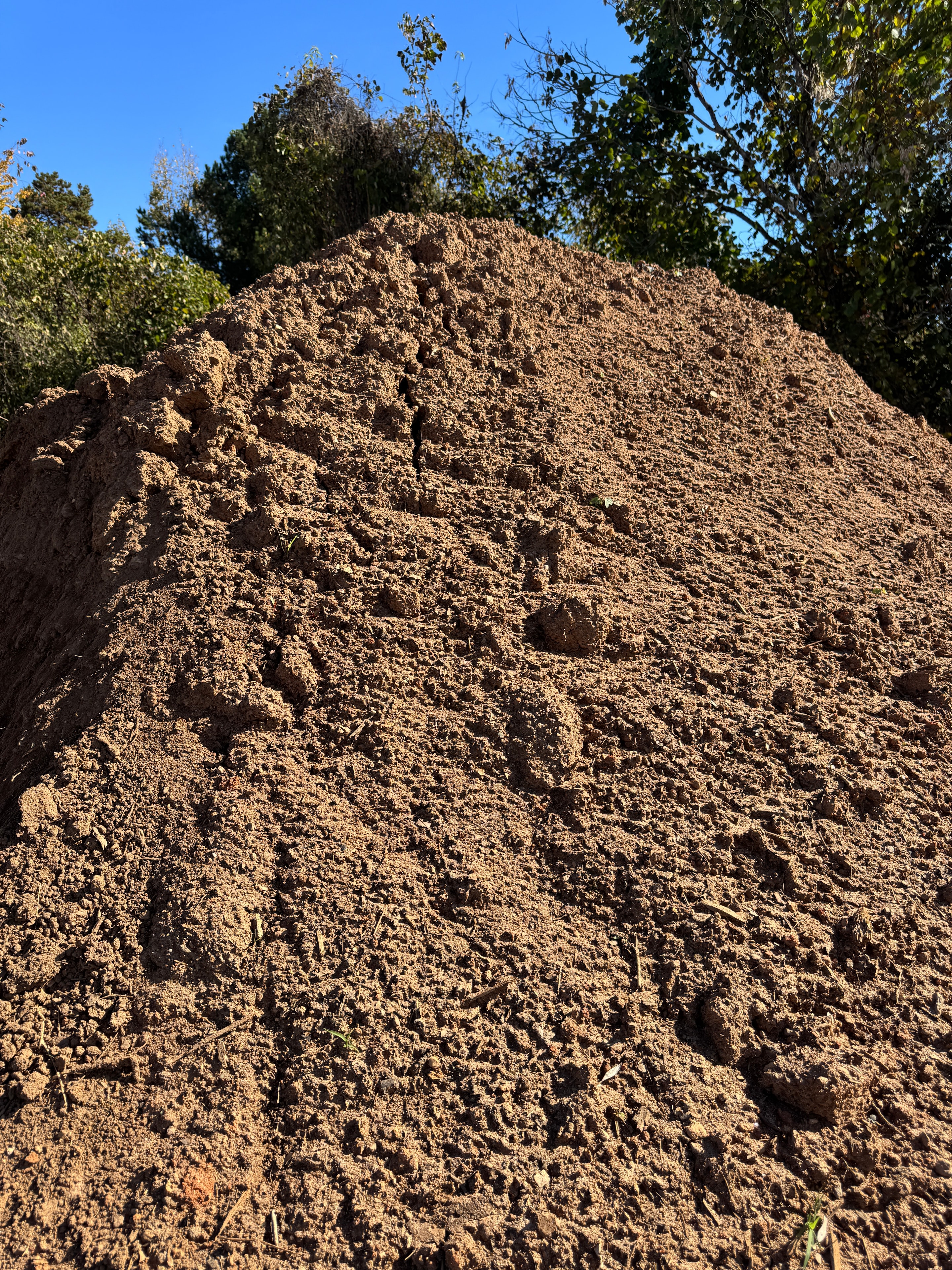 Large pile of dark top soil at the garden center