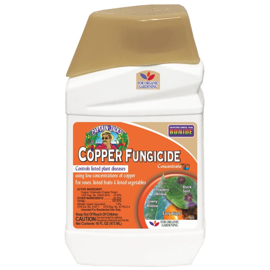 Blue bottle of Bonide Captain Jack's Liquid Copper Fungicide concentrate