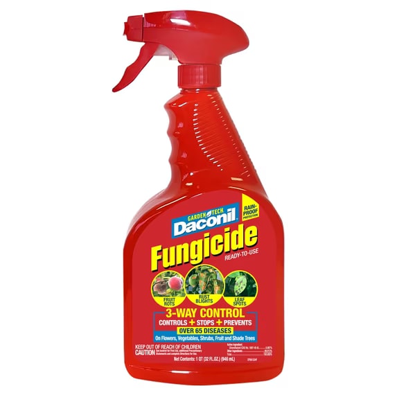 Red Daconil Fungicide ready-to-use spray bottle with red trigger sprayer