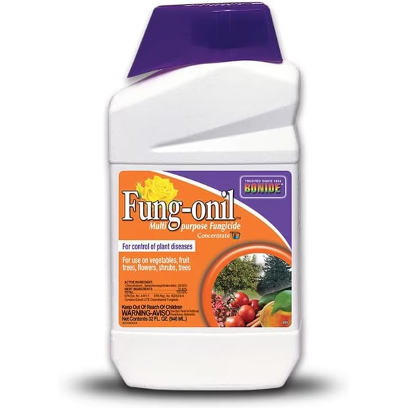 White bottle of Bonide Fung-onil multi-purpose fungicide concentrate