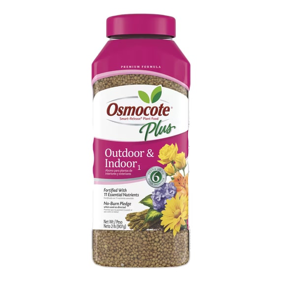 Two-pound jar of Osmocote Plus Outdoor and Indoor plant food granules with pink lid